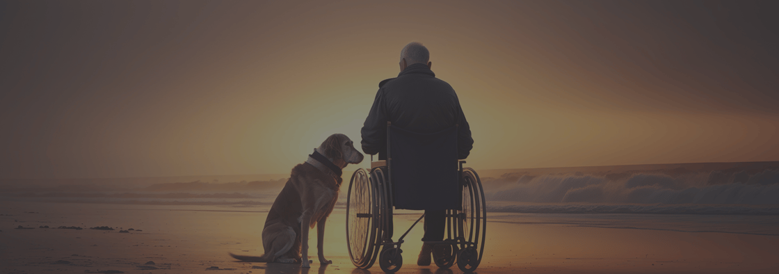 Wheelchair user on a beach