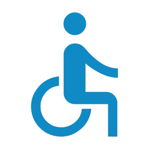 all party parliamentary group wheelchair alliance right chair right time right now